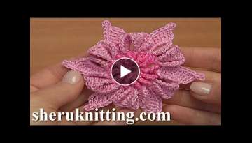 Crochet 3D Double Colored Folded Petal Flower 