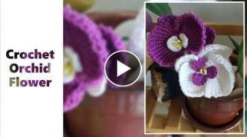 How To Orchid An Orchid Flower