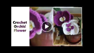 How To Orchid An Orchid Flower