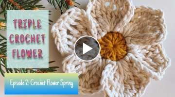 Crochet Flower Spring 