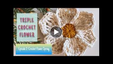 Crochet Flower Spring 