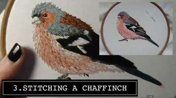 Stitching a Chaffinch