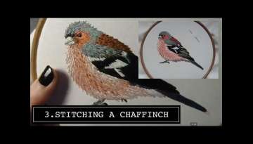 Stitching a Chaffinch